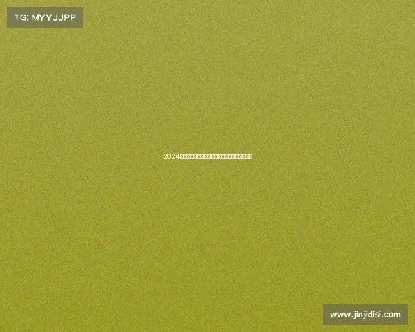 2024拳击大赛赛事安排全程解析与高效组织策略指南